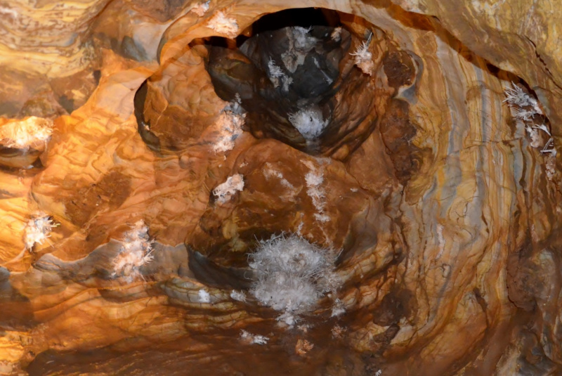  Vlakom za UNESCOM - Vlakom na Gemer 12.8.2017