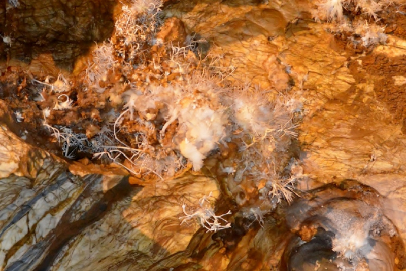  Vlakom za UNESCOM - Vlakom na Gemer 12.8.2017