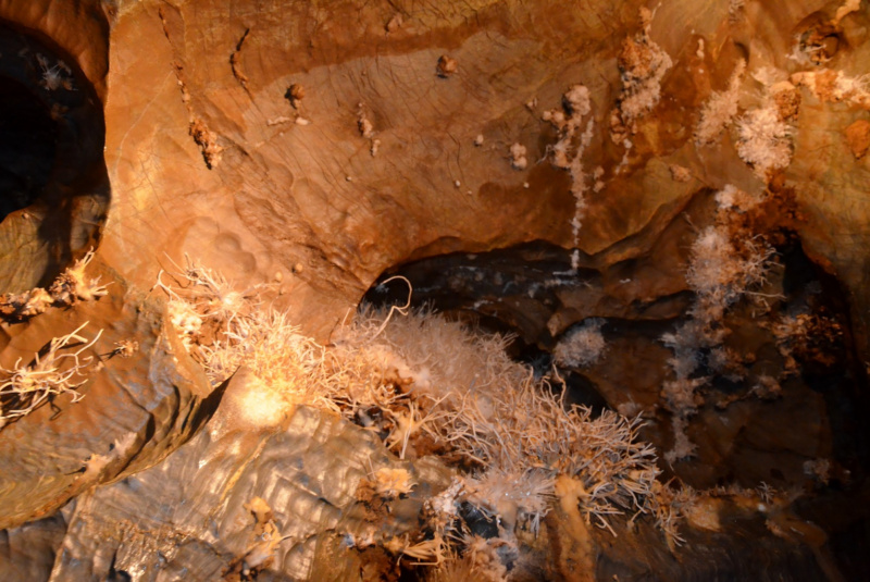  Vlakom za UNESCOM - Vlakom na Gemer 12.8.2017