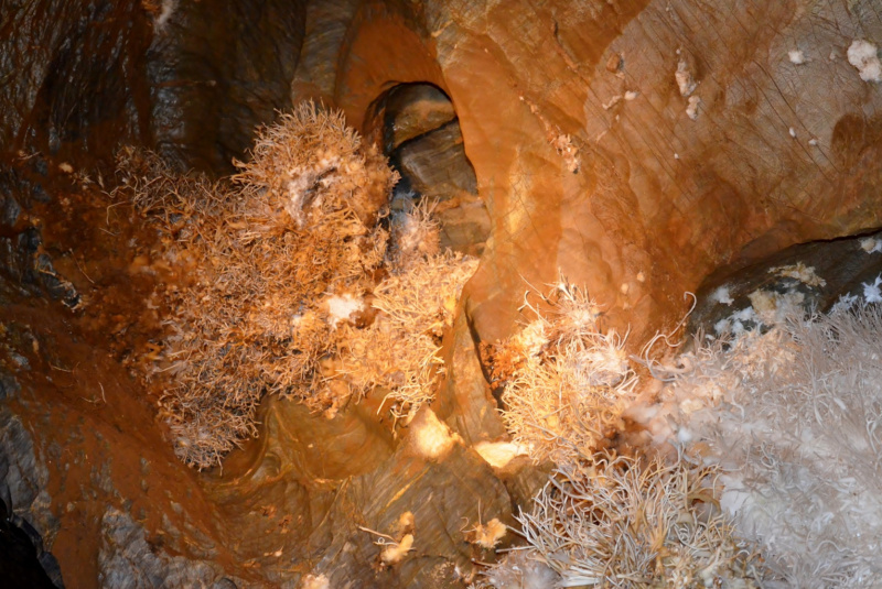  Vlakom za UNESCOM - Vlakom na Gemer 12.8.2017