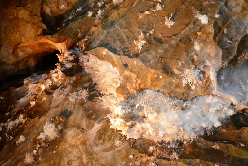  Vlakom za UNESCOM - Vlakom na Gemer 12.8.2017