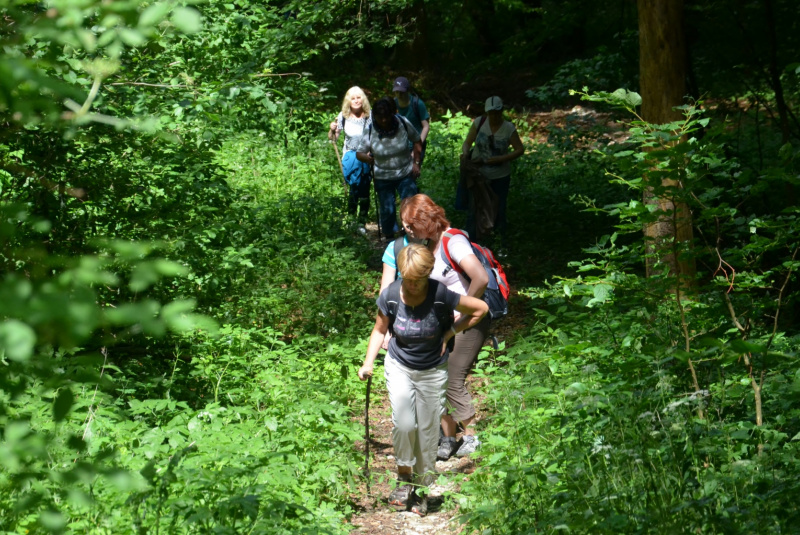 Vlakom za UNESCOM - Gombasecká jaskyňa 10.6.2017