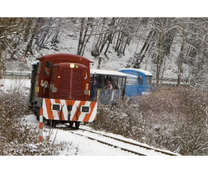 ROZLÚČKA S ROKOM NA DETSKEJ ŽELEZNICI