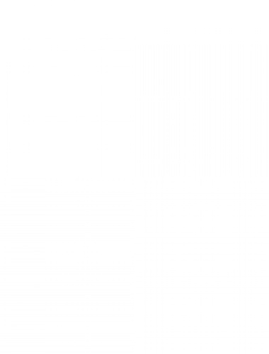 Príspevok - Rušnoparáda 2017