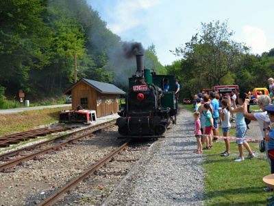 Obnova a reštaurovanie hnuteľnej národnej a technickej kultúrnej pamiatky: Úzkorochodný parný rušeň U36.003