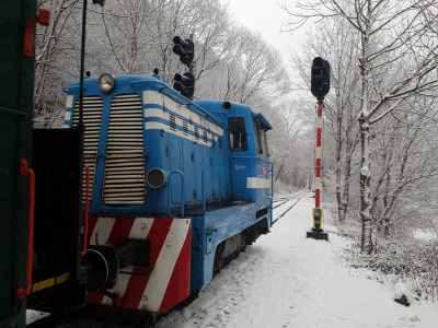Ohliadnutie za rokom 2017