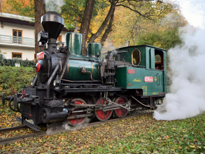 Reštaurovanie 130-ročnej lokomotívy úzkorozchodnej parnej U 36 003, ÚZPF č.10340/0