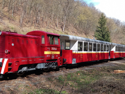 Verejná zbierka 2021 - 2022