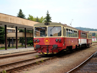 Vlakom na Bardejovský jarmok