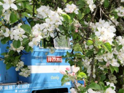 Všetky mamičky jazdia ako detičky :-)